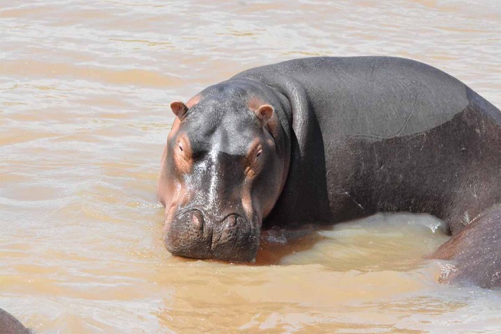 Gibe Sheleko National park…